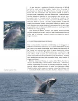 682e0d3d430ea8.93557530.pdf page 24