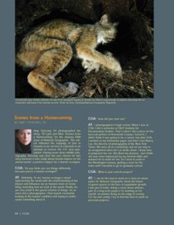 682e0d3d430ea8.93557530.pdf page 66