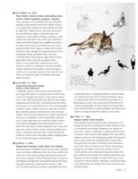 682e0e4ca8b105.20257852.pdf page 9