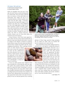 682e0f7554c583.71463733.pdf page 11