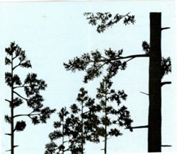 682f77d5cff622.57992805.pdf page 7