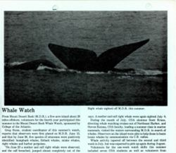 682f792f7dee97.44205951.pdf page 7