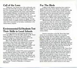 682f7f8ddf0f06.77028921.pdf page 6