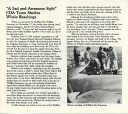 68408b6028d851.82182078.pdf page 3