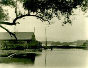 Somesville Mill Pond