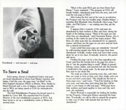 684191b3bb6164.11714413.pdf page 2