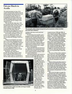 6841b2b48c7247.59039371.pdf page 8