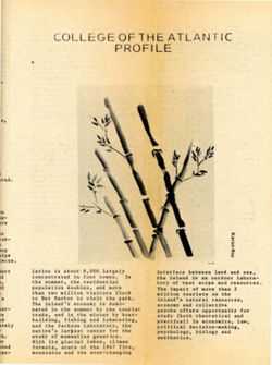 6841cc0fd966a0.46462851.pdf page 7