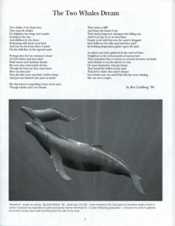 6841d6633c62e9.01463105.pdf page 7