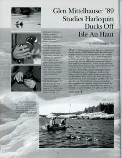 6841d6633c62e9.01463105.pdf page 8