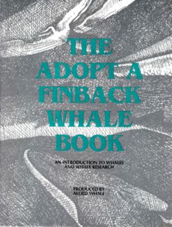 6852bc1516e9b8.68934461.pdf page 1