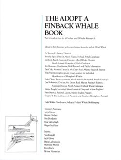 6852bc1516e9b8.68934461.pdf page 2