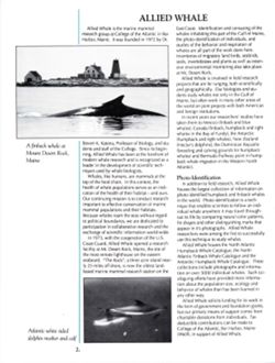 6852bc1516e9b8.68934461.pdf page 5