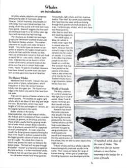 6852bc1516e9b8.68934461.pdf page 6