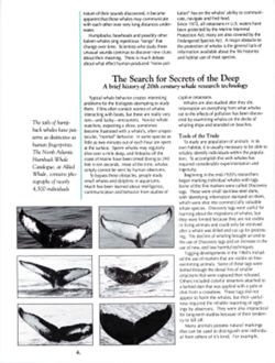 6852bc1516e9b8.68934461.pdf page 7