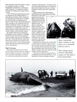 6852bc1516e9b8.68934461.pdf page 8