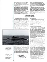 6852bc1516e9b8.68934461.pdf page 9