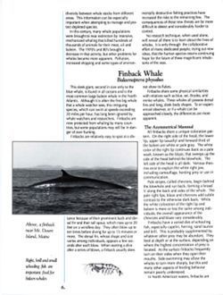 6852bc1516e9b8.68934461.pdf page 9