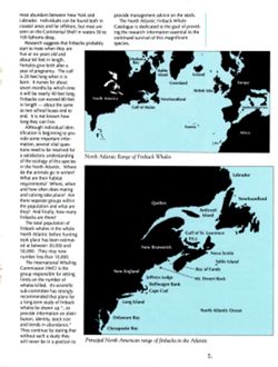 6852bc1516e9b8.68934461.pdf page 10