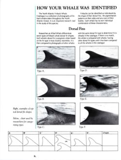 6852bc1516e9b8.68934461.pdf page 11