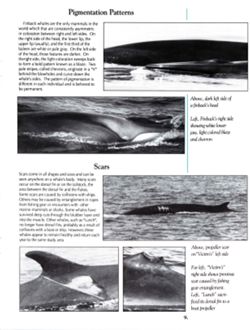 6852bc1516e9b8.68934461.pdf page 12