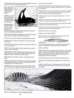 6852bc1516e9b8.68934461.pdf page 15