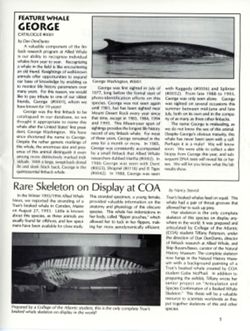 6852c6a385f261.35592152.pdf page 5