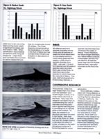 6852c6a388acc7.00172152.pdf page 9