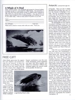 6852c6a388acc7.00172152.pdf page 13