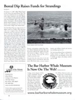 6852c6b48e00c3.87772233.pdf page 2