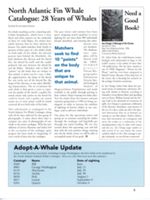 6852c6b48e00c3.87772233.pdf page 3