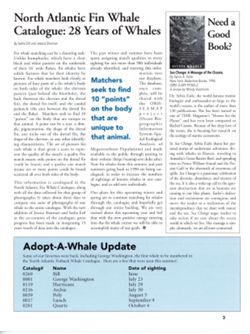 6852c6b48e00c3.87772233.pdf page 3