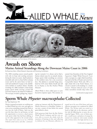 Allied Whale News, 2006