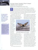 6852c6c10a5c23.45980763.pdf page 2