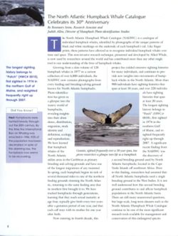 6852c6c10a5c23.45980763.pdf page 2