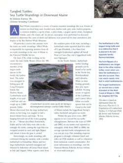 6852c6c10a5c23.45980763.pdf page 3