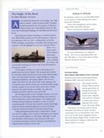 6852c6c10a5c23.45980763.pdf page 9