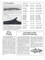 6852c6ceb45a82.12082691.pdf page 3