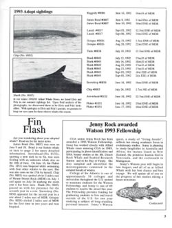 6852c6ceb45a82.12082691.pdf page 3