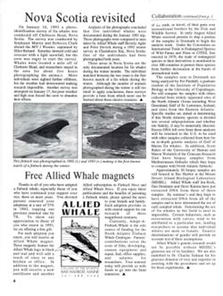 6852c6ceb45a82.12082691.pdf page 4