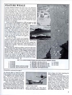 6852c6d8c2dea2.01797981.pdf page 3