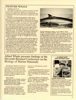 6852c6daad7088.15323958.pdf page 3