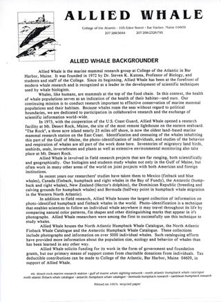 Allied Whale Backgrounder