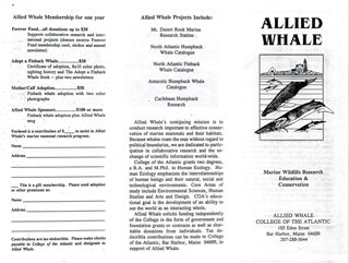 Allied Whale: marine wildlife research education &amp; conservation