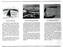 6852cf4b18f271.74904608.pdf page 2