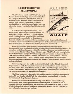 6852e129ca8909.20472848.pdf page 2