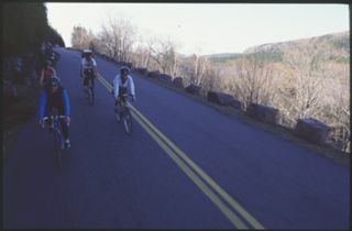 Unknown bicyclists