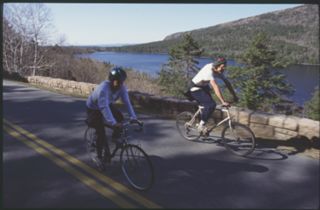 Unknown bicyclists