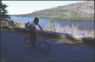 Unknown bicyclists