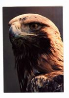 68b877a3930964.99396638.pdf page 1